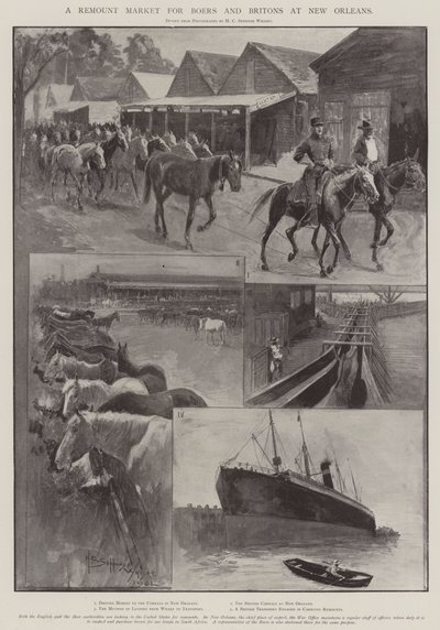 A Remount Market for Boers and Britons at New Orleans by Henry Charles Seppings Wright